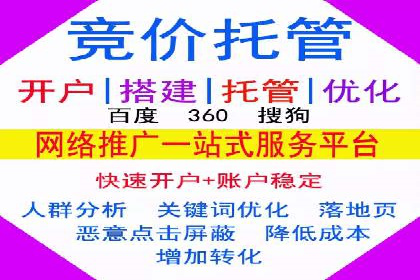 谷歌竞价广告在电商行业的运用案例