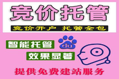 揭秘sem竞价代运营的成功要素及案例